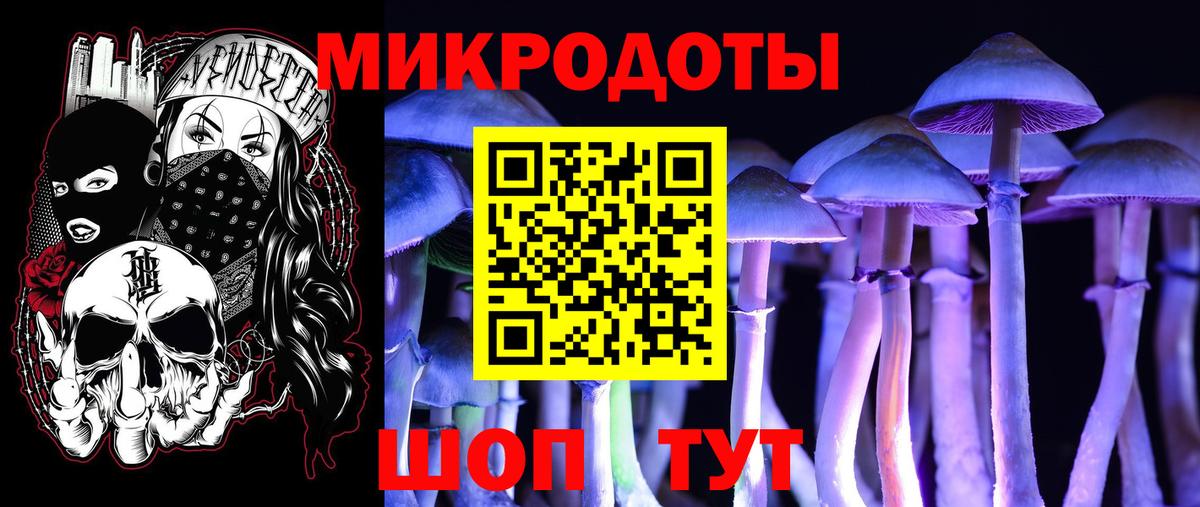 Кашира  Псилоцибиновые грибы MAGIC MUSHROOMS  купить наркотик  Вход с VPN 